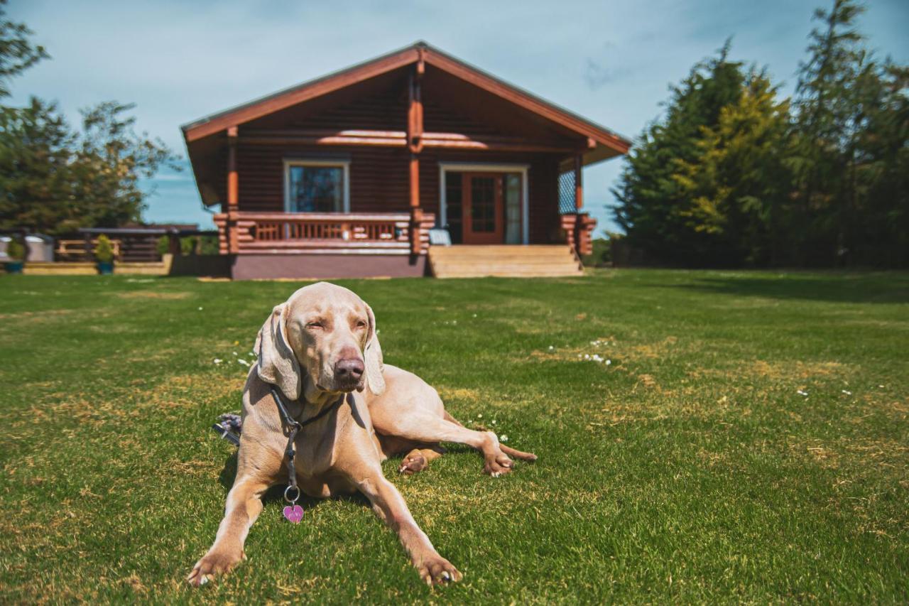 Tomatin - Luxury Two Bedroom Log Cabin With Hot Tub Berwick Upon Tweed Exterior photo
